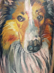 0001ac   Tiere   Tattoo Hamburg Skinworxx